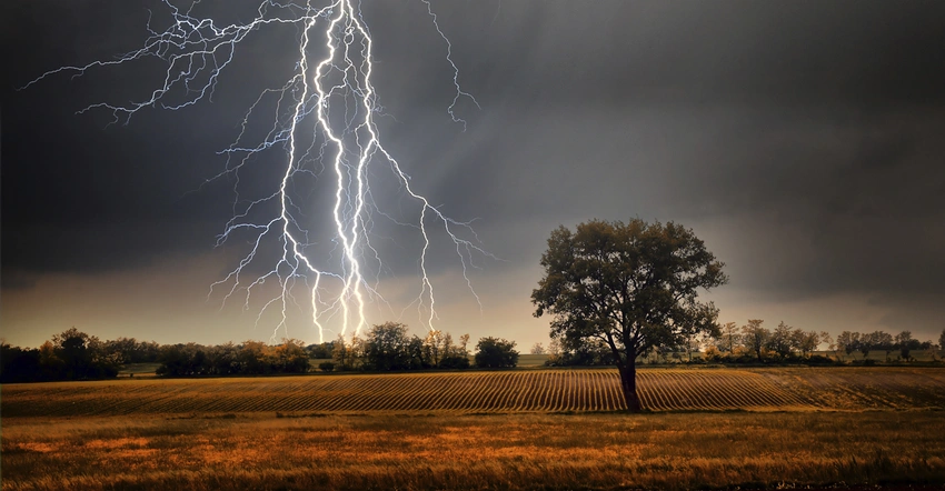 Irvine Farmers Market Closed Due to Severe Thunderstorm Warning 26th May