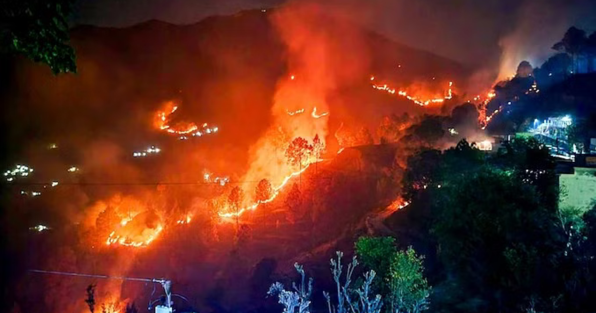 Fire on South Mountain: Protecting a Delicate Ecosystem